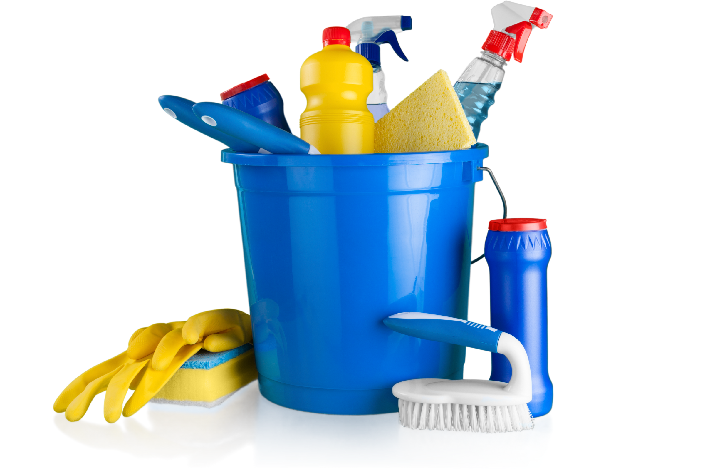 Waste Management Services